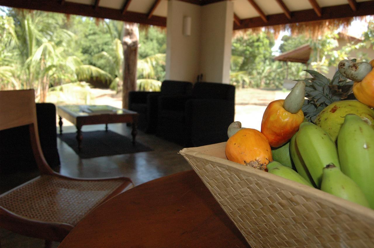 Wildescape, Yala Blocks 3 & 5 Villa Buttala ภายนอก รูปภาพ