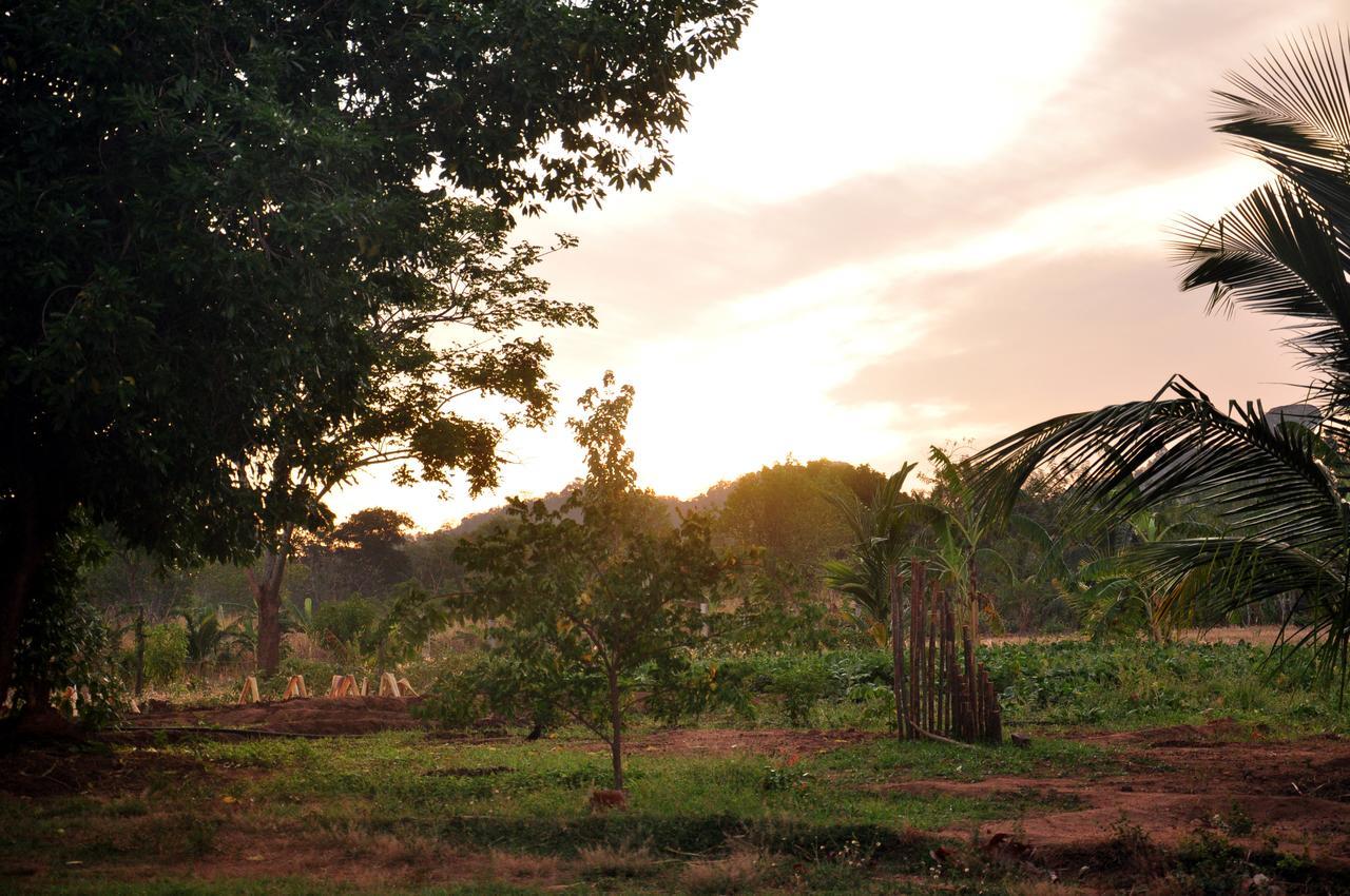 Wildescape, Yala Blocks 3 & 5 Villa Buttala ภายนอก รูปภาพ